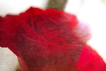 Digitale Kunst mit dem Titel "Love's Last Bloom" von Susan Montgomery, Original-Kunstwerk, Digitale Collage