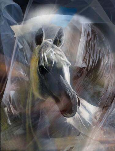 Painting titled "caballo" by Suso C. Ben, Original Artwork, Oil Mounted on Wood Stretcher frame