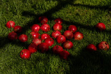 Photographie intitulée "Pomegranate on grass" par Suvorova Xenia, Œuvre d'art originale, Photographie numérique