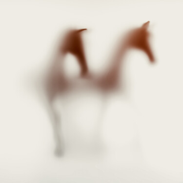 Photography titled "WILD LENS - HORSES…" by Sven Pfrommer, Original Artwork, Analog Print Mounted on Aluminium