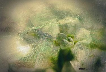 Photography titled "Prior in tempore" by Svetla Angelova, Original Artwork