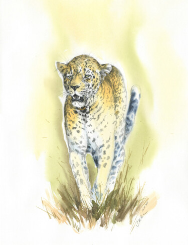 Malerei mit dem Titel "Jaguar" von Svetlana Kilian, Original-Kunstwerk, Aquarell