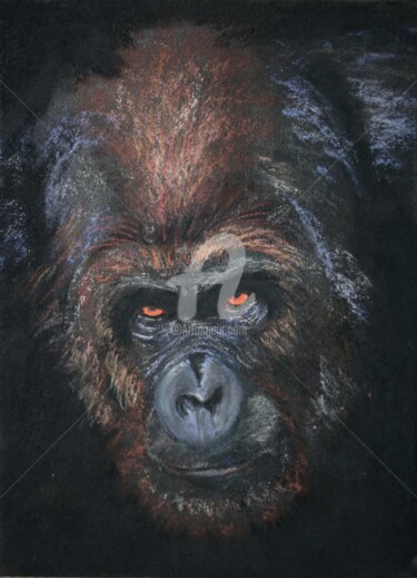 Desenho intitulada "Gorilla" por Svetlana Samovarova (SA.LANA), Obras de arte originais, Pastel
