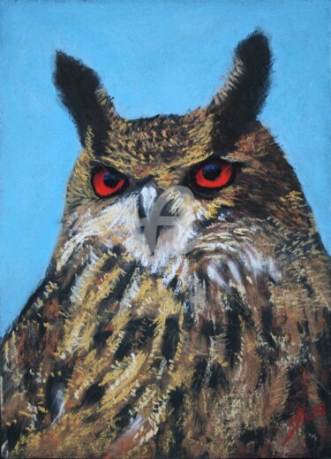 Dessin intitulée "owl.jpg" par Svetlana Samovarova (SA.LANA), Œuvre d'art originale, Pastel