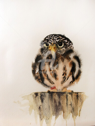 Рисунок под названием "Baby Owl" - Svetlana Samovarova (SA.LANA), Подлинное произведение искусства, Акварель