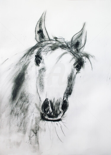 Картина под названием "HORSE... QUICK PORT…" - Svetlana Samovarova (SA.LANA), Подлинное произведение искусства, Чернила