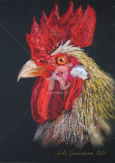 Рисунок под названием "Rooster" - Svetlana Samovarova (SA.LANA), Подлинное произведение искусства, Пастель