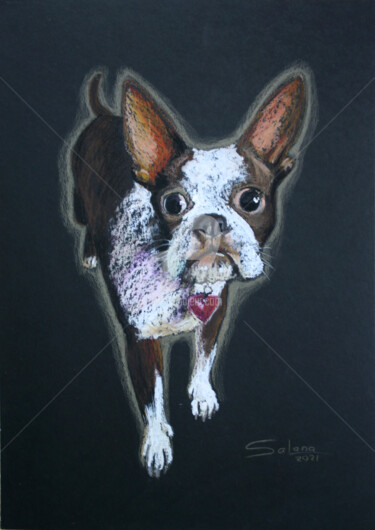 Rysunek zatytułowany „DOG II... FRENCH BU…” autorstwa Svetlana Samovarova (SA.LANA), Oryginalna praca, Olej