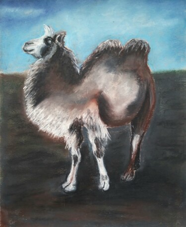 "Camel Romeo. Altai." başlıklı Tablo Svetlana Samsonova tarafından, Orijinal sanat, Pastel