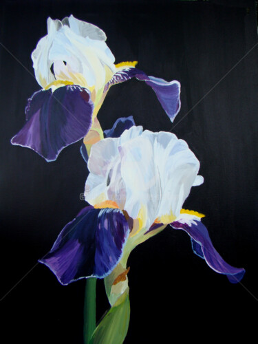 Peinture intitulée "Iris on a black bac…" par Svetlana Saratova, Œuvre d'art originale, Acrylique