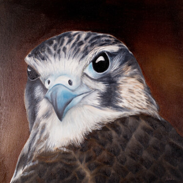 Painting titled "Falcon" by Svitlana Miku, Original Artwork, Oil
