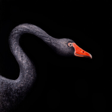 Painting titled "Black Swan" by Svitlana Miku, Original Artwork, Oil