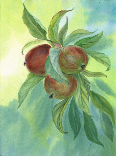 Malerei mit dem Titel "Apples" von Svitlana Yanyeva, Original-Kunstwerk, Aquarell