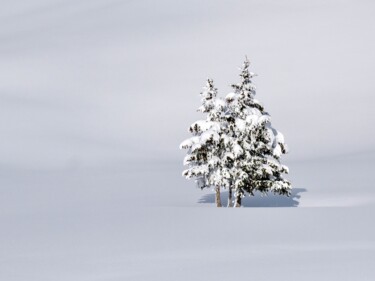 Fotografía titulada "Seul dans la neige" por Sylvestre Bonnet, Obra de arte original, Fotografía digital