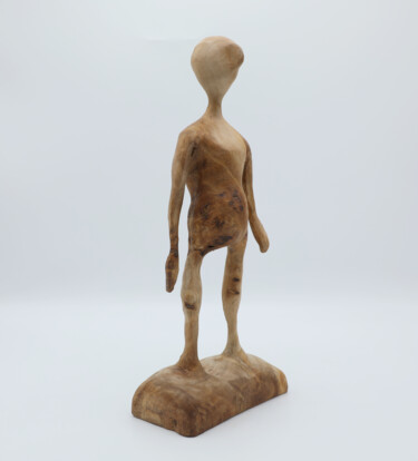 雕塑 标题为“Maser Pappel” 由Sylvia Gnatz, 原创艺术品, 木