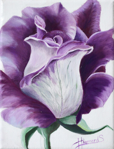 Malarstwo zatytułowany „Rose aux bords viol…” autorstwa Sylvie Hiernard, Oryginalna praca, Olej Zamontowany na Drewniana ram…