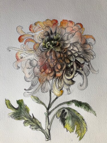 Peinture intitulée "le chrysanthème" par Sylvie Lamande, Œuvre d'art originale, Aquarelle