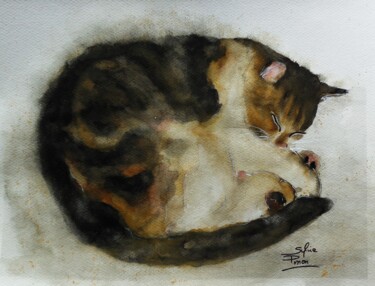 Peinture intitulée "chat en rond" par Sylvie Pinon, Œuvre d'art originale, Aquarelle