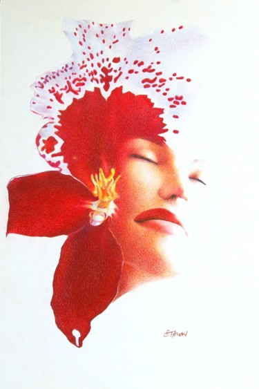 Desenho intitulada "Orchidée" por Sylvie Talon, Obras de arte originais, Lápis