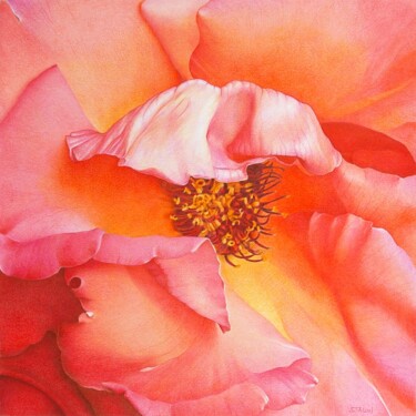 Tekening getiteld "Cœur de rose 5" door Sylvie Talon, Origineel Kunstwerk, Potlood
