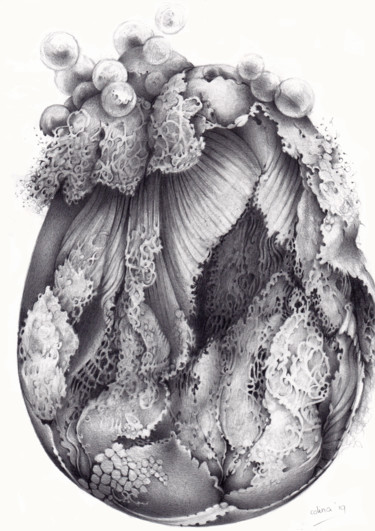 Drawing titled "Hatching" by Symona Colina, Original Artwork, Graphite