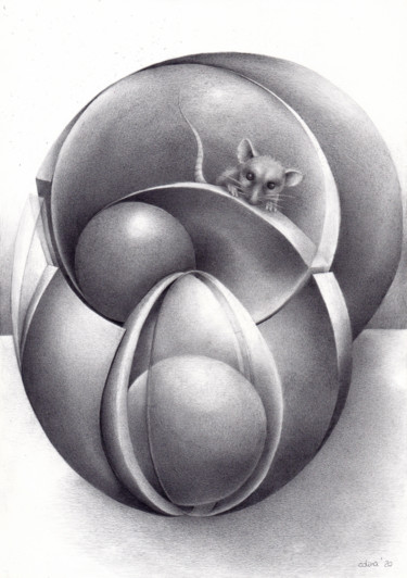 Drawing titled "Cheese" by Symona Colina, Original Artwork, Graphite
