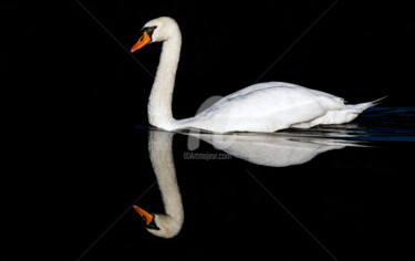 Photographie intitulée "Silence" par T2p Photos, Œuvre d'art originale, Photographie numérique