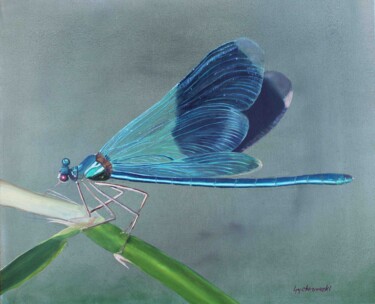 Painting titled "Beautiful demoiselle" by Tamás Gyebrovszki, Original Artwork, Oil