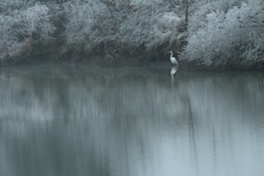 Фотография под названием "frosty morning" - Tammy Gauthreaux, Подлинное произведение искусства, Не манипулируемая фотография