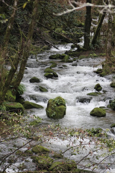 Photographie intitulée "moss" par Tammy Gauthreaux, Œuvre d'art originale, Photographie non manipulée