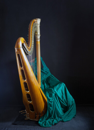 Fotografie mit dem Titel "The harp" von Tania Serket, Original-Kunstwerk, Digitale Fotografie