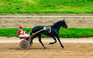 Fotografia intitulada "Horse racing" por Tanya Shark, Obras de arte originais, Fotografia digital