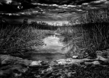 Фотография под названием "Quiet backwater (Eq…" - Alexander Tarasenkov, Подлинное произведение искусства, Не манипулируемая…