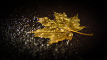 Photography titled "Mood Color - Autumn…" by Alexander Tarasenkov, Original Artwork, Non Manipulated Photography
