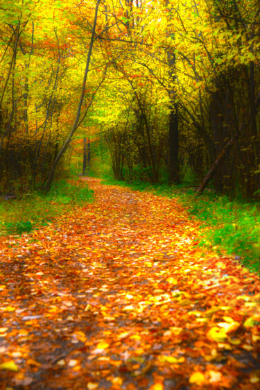 Fotografie getiteld "Mood Color - Autumn…" door Alexander Tarasenkov, Origineel Kunstwerk, Gemanipuleerde fotografie