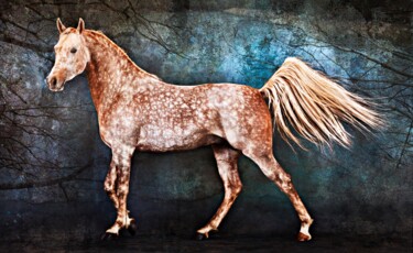 Фотография под названием "Pegasus" - Tariq Dajani, Подлинное произведение искусства, Цифровая фотография