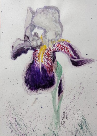 Σχέδιο με τίτλο "Iris" από Tatiana Fox'Tena, Αυθεντικά έργα τέχνης, Ακουαρέλα