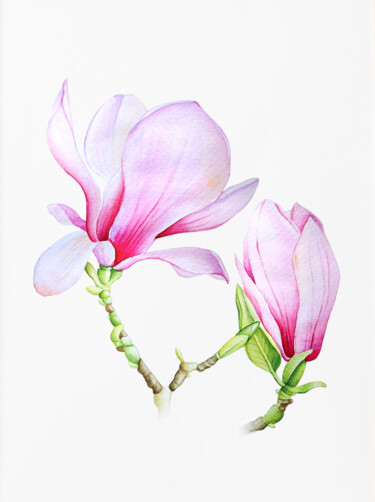 Malerei mit dem Titel "Magnolia" von Tatiana Repesciuc, Original-Kunstwerk, Aquarell