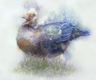 Pintura intitulada "Talking goose" por Tatiana Sereda, Obras de arte originais, Aquarela