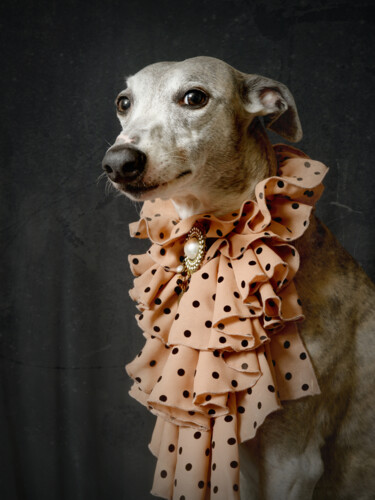 Fotografia intitolato "Rubelia con jabot a…" da Tatsiana Melnikava, Opera d'arte originale, Fotografia digitale Montato su T…