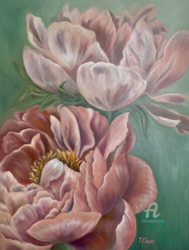 Painting titled "CORAL PEONIES" by Tatyana Chaar, Original Artwork, Oil