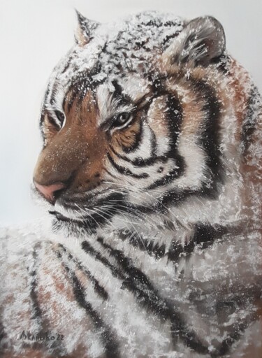 Rysunek zatytułowany „Tiger in the snow” autorstwa Tatyana Lukanenko, Oryginalna praca, Pastel