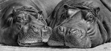 Рисунок под названием "Hippos" - Teresa Payne Art, Подлинное произведение искусства, Древесный уголь