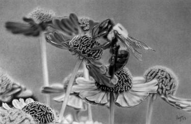 Рисунок под названием "Bee" - Teresa Payne Art, Подлинное произведение искусства, Древесный уголь