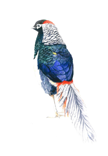 绘画 标题为“Pheasant” 由Tetiana Savchenko, 原创艺术品, 水彩