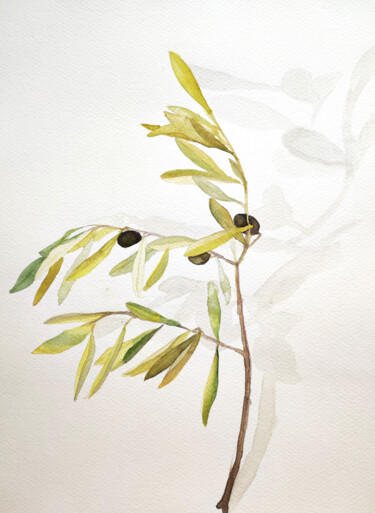 Painting titled "Olive Branch" by Tetyana Levchuk, Original Artwork, Watercolor