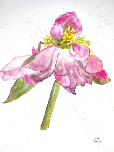 Painting titled "Blooming peony flow…" by Tetyana Levchuk, Original Artwork, Watercolor