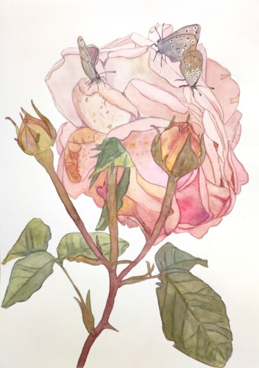 "Watercolor rose wit…" başlıklı Tablo Tetyana Levchuk tarafından, Orijinal sanat, Suluboya