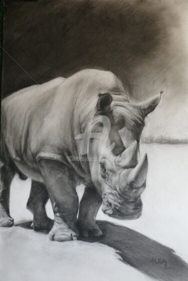 Drawing titled "Le Rhinocéros" by Th. Hutin, Original Artwork, Chalk