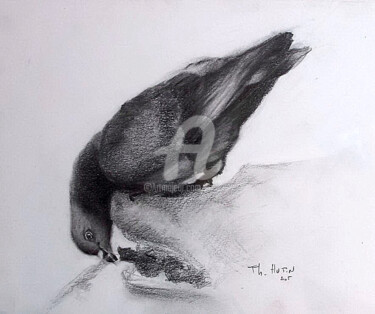 Drawing titled "Pigeon à la fontaine" by Th. Hutin, Original Artwork, Chalk